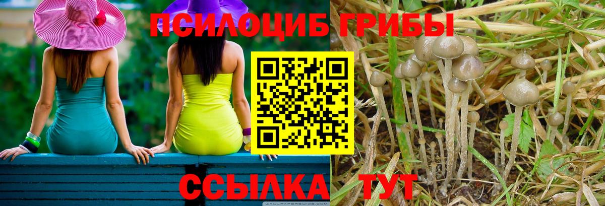 Галлюциногенные грибы мухоморы Корсаков